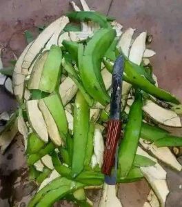 Unripe Plantain peels